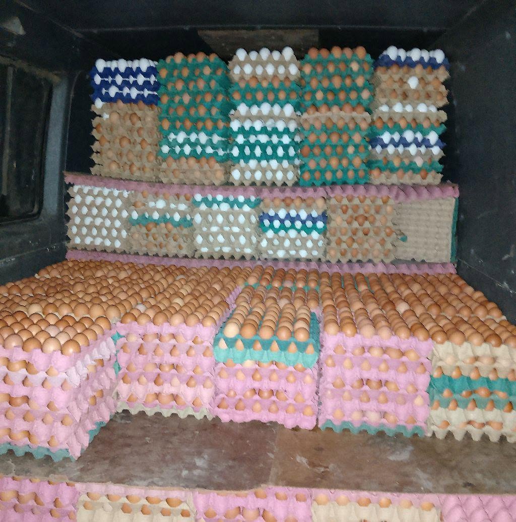Maples con huevos preparados para el reparto