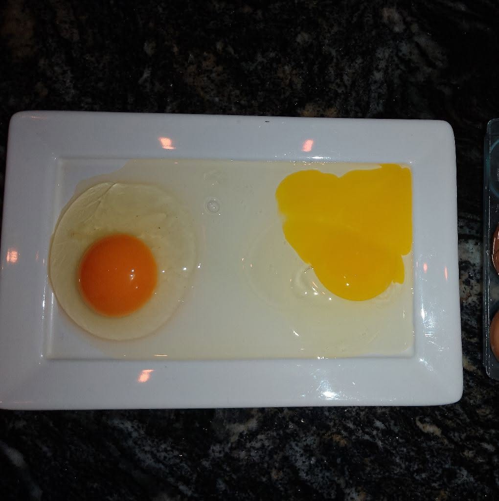 Huevo de yema naranja intensa, servido en un plato